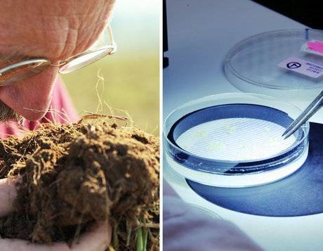 10 Billion - What's on Your Plate?